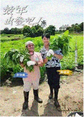 星夜影视综艺档案午夜食堂车封面